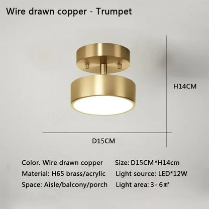 Plafonnier LED moderne rond en cuivre noir or, lumière dimmable pour chambre et salon