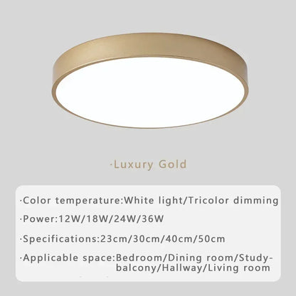 Plafonnier LED circulaire moderne en métal et acrylique, design minimaliste pour intérieur