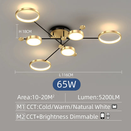 Plafonnier LED moderne IRALAN en fer et acrylique avec lumière réglable pour intérieur