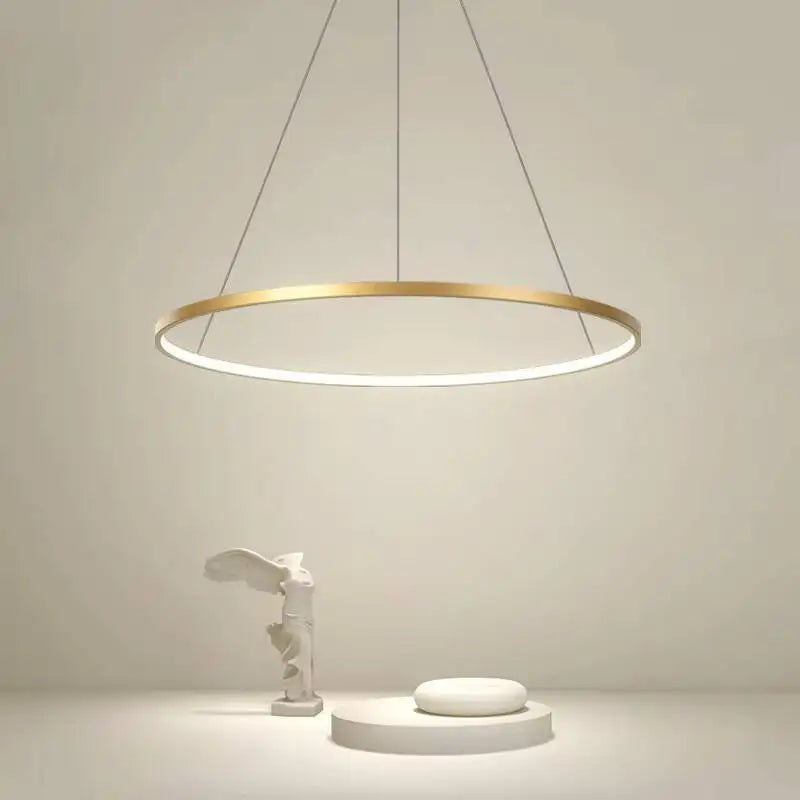 Suspension LED ronde moderne en aluminium noir et blanc, lumière chaude et froide pour intérieur