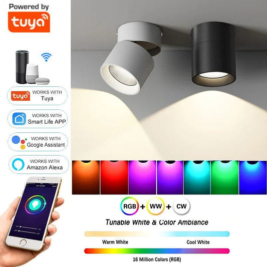 Spot Eclairage LED RGB 16M couleurs en aluminium avec Alexa et Google Home - Luminous Place