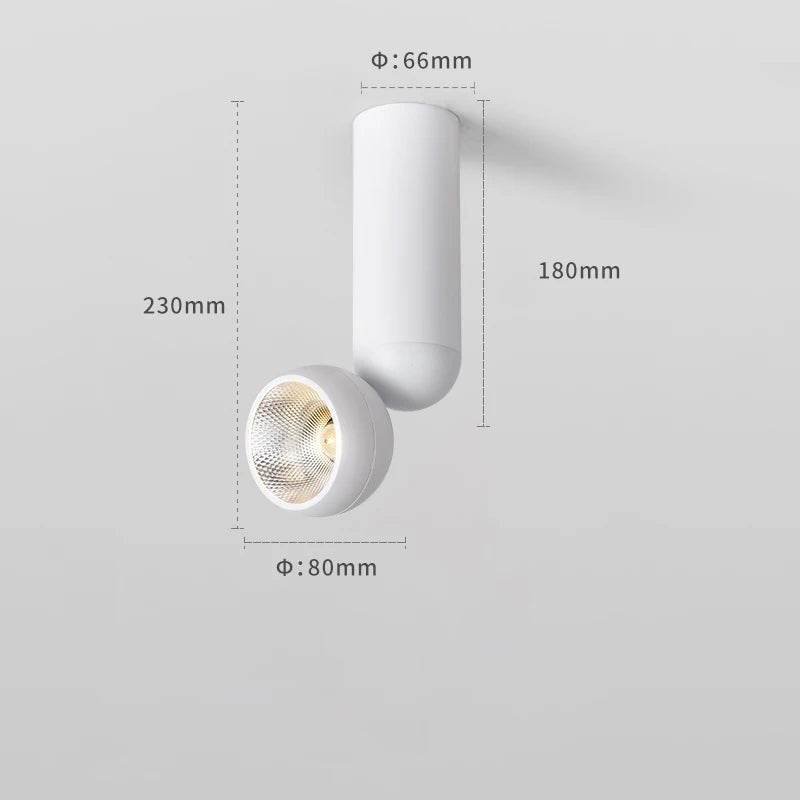 Spot Eclairage LED Surface Rotatif CRI 90 Aluminium 12W Lumière Chaude - Luminous Place