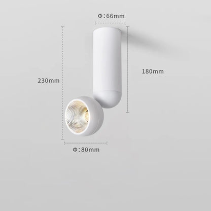 Spot Eclairage LED Surface Rotatif CRI 90 Aluminium 12W Lumière Chaude - Luminous Place